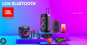 Loa mini chiếm ưu thế ở phân khúc giá rẻ, tiện mang theo, phù hợp người dùng cá nhân và sinh viên. Loa Bluetooth và loa JBL được ưa chuộng cho giải trí gia đình, tiệc ngoài trời và phòng thu chuyên nghiệp nhờ âm thanh mạnh mẽ và kết nối ổn định.