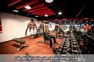 Lắp Đặt Âm Thanh Phòng Gym Chuẩn – Loa Công Suất Lớn, Bass Mạnh, Tăng Năng Lượng Tập Luyện 2026
