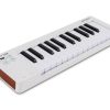 Arturia MicroLab MK3